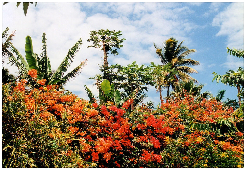 02 - Le Jardin D'Eden (0).jpg